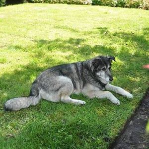 Meet your Posher, Carol